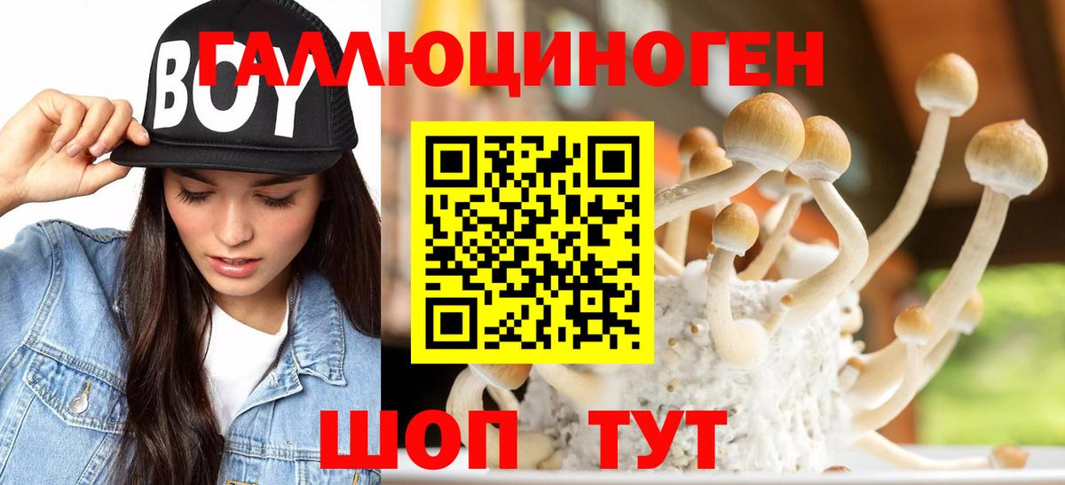 Псилоцибиновые грибы ЛСД  Вход с VPN  Истра 